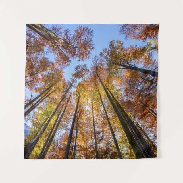 Tenture Arbres d'automne ensoleillés (Devant)