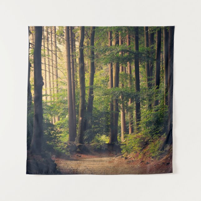TENTURE ARBRES FORESTIERS (Devant)