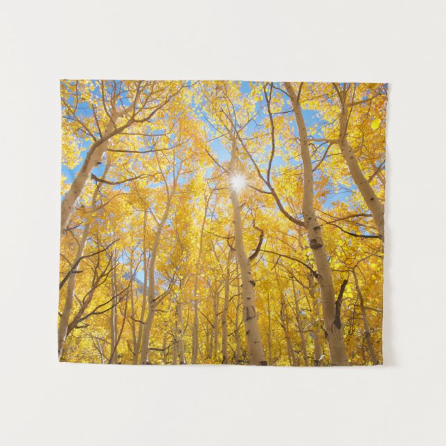 Tenture Aspen Trees | Sierra Nevada Mountains, CA (Devant (Horizontal))