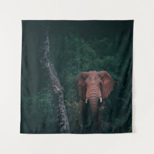 TENTURE ASSEZ ÉLÉPHANT