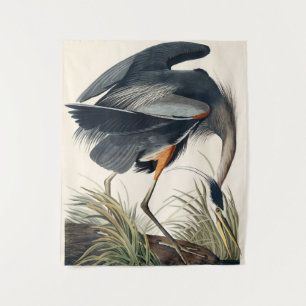 Tenture Audubon Great Blue Heron 1834 Plate CCXI