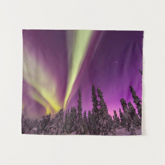 Tenture Aurora Borealis Northern Lights Fairbanks Alaska (Devant (Horizontal))