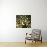 Auvent Sunstar de banian