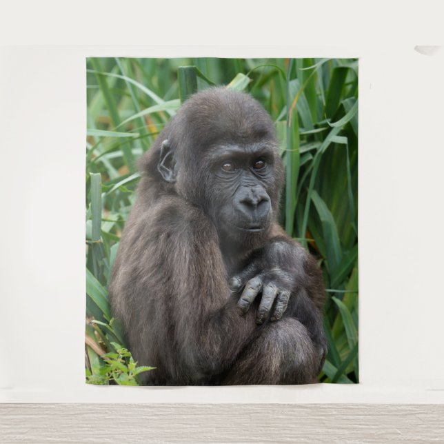 Tenture Baby Gorilla (Devant)