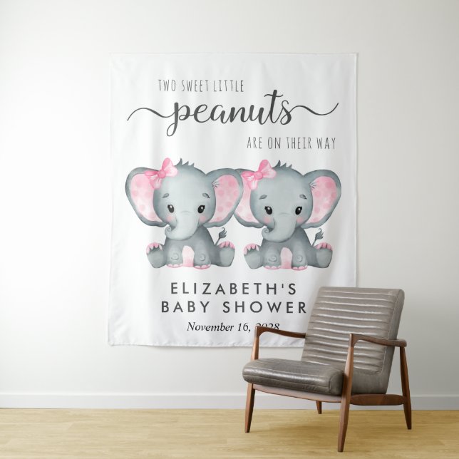 Tenture Baby shower Elephant Twin Girls Bienvenue (En situation)