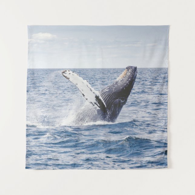 Tenture Baleine Géante Saute De L'Océan  (Devant)