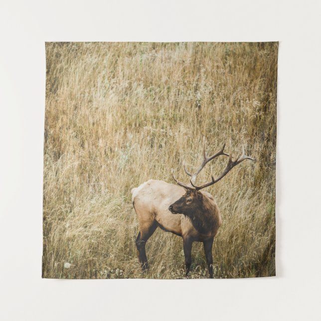 TENTURE BEAU CERF D'ELK (Devant)