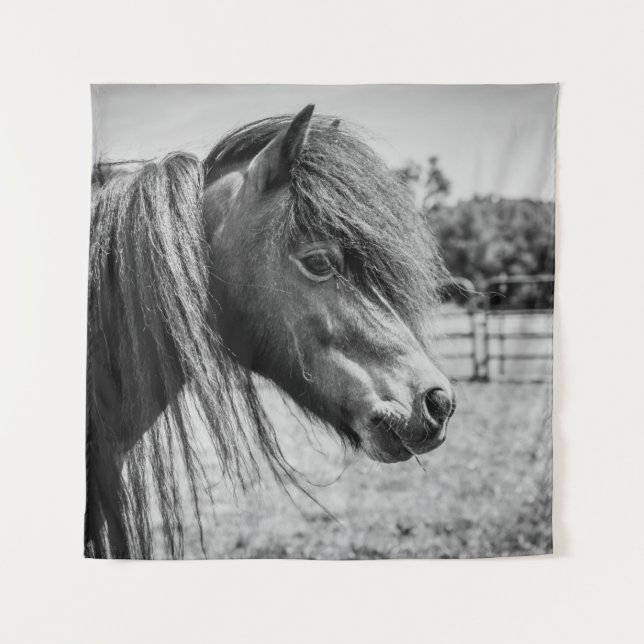 TENTURE BEAU CHEVAL (Devant)