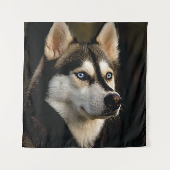 Tenture Beau Oreiller Husky Lrow (Devant)