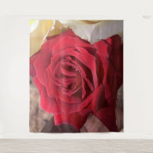 Belle Afrique Rose rouge