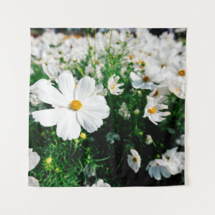 Tenture Belle fleurs de cosmos blanc fleurissant dans la g