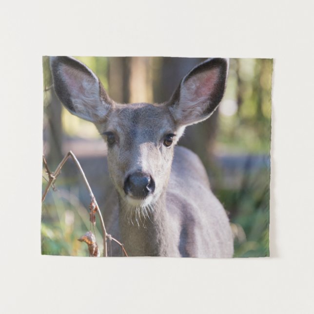Tenture Biche à queue noire de Columbie | État de Washingt (Devant (Horizontal))