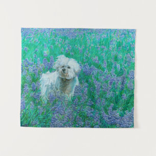 Tenture Bichon Frise dans les Bluebonnets