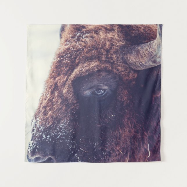 TENTURE BISON IN THE WINTER (Devant)