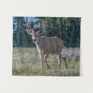 Tenture Blacktail Deer Buck   Parc national olympique