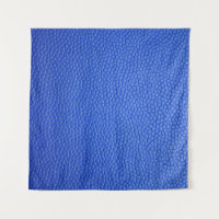 Blue leather skin texture skin