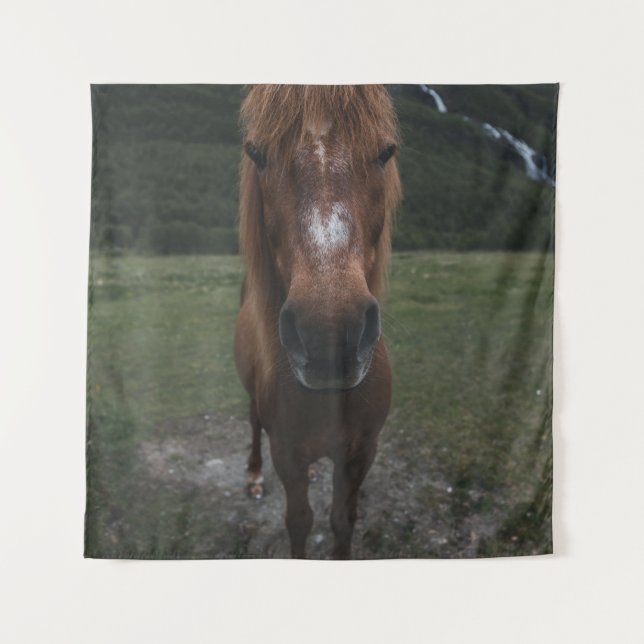 TENTURE BONJOUR JE SUIS UN CHEVAL (Devant)