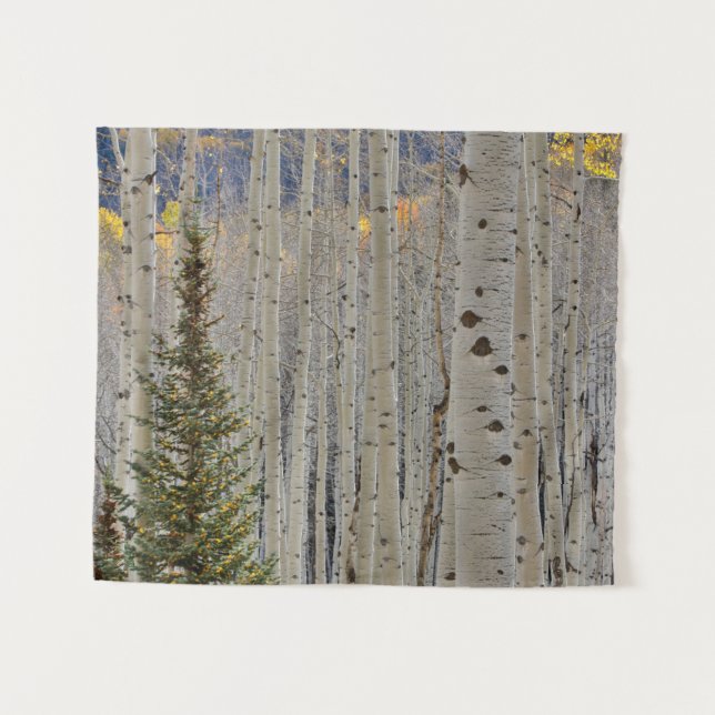 Tenture Bosquets d'automne de trembles | Montagnes Rocheus (Devant (Horizontal))