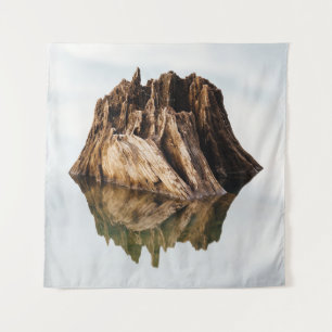 TENTURE BROWN WOODEN FRAME