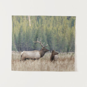 Tenture Bull Elk dans le pré Parc national de Yellowston