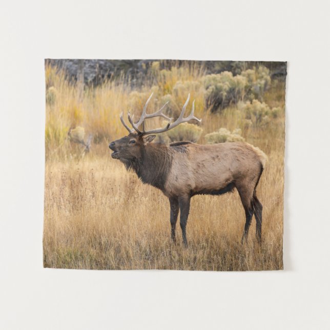Tenture Bull Elk | Parc national de Yellowstone (Devant (Horizontal))