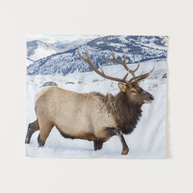 Tenture Bull Elk | Wyoming (Devant (Horizontal))