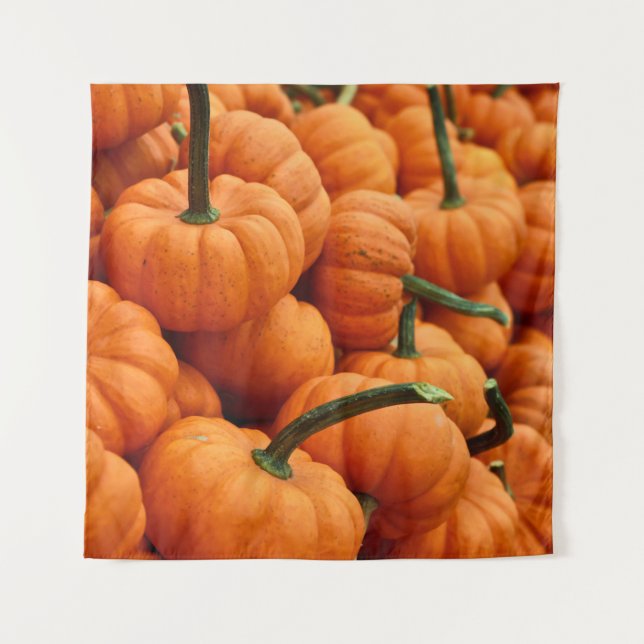 TENTURE BUNCH DU CITROUILLE (Devant)