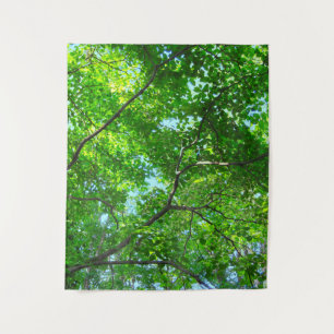 Tenture Canopée verte, branches feuillues avec ciel bleu