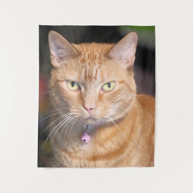 Tenture Cat (Devant)