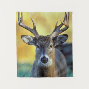 Tenture Cerf à queue blanche   Automne