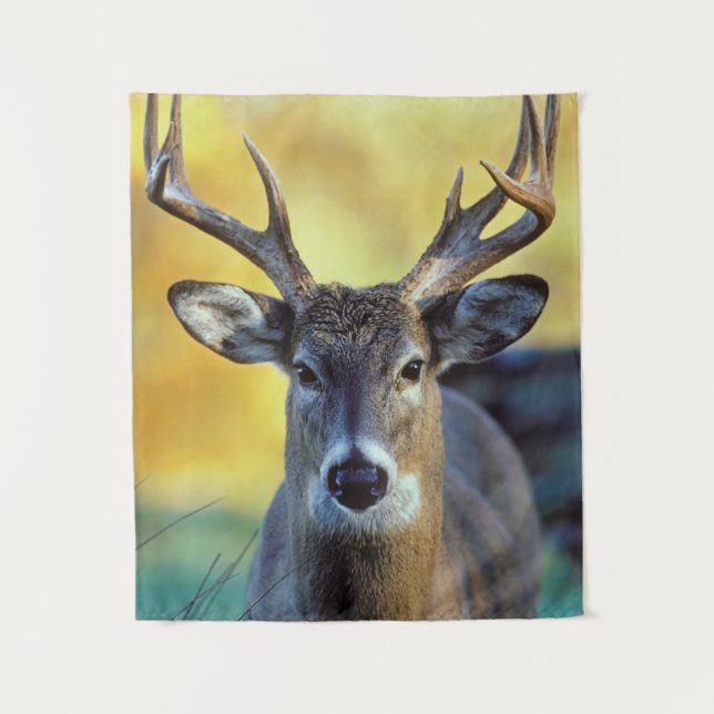 Tenture Cerf à queue blanche | Automne (Devant)