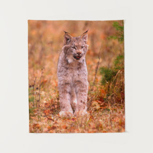 Tenture Chasse au lynx roux Forêt automnale