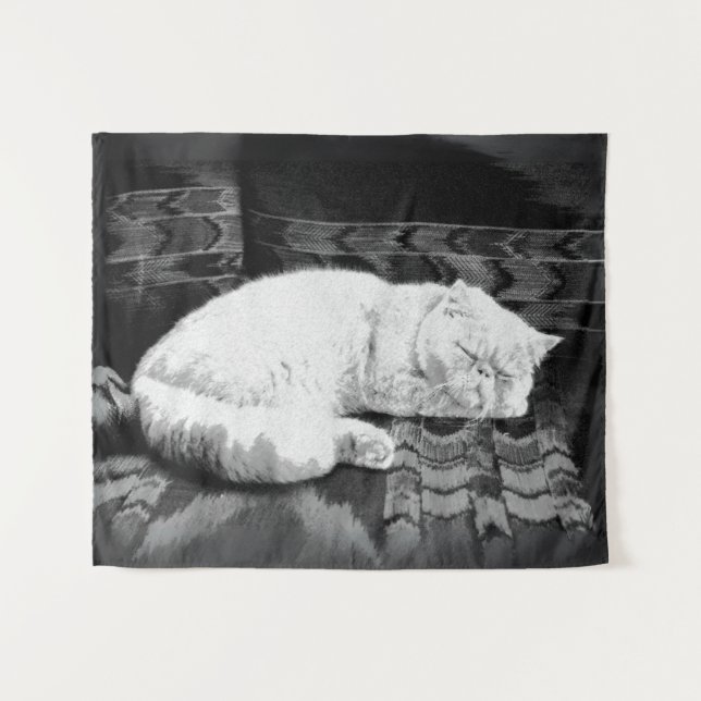 Tenture Chat perse blanc couché (Devant (Horizontal))