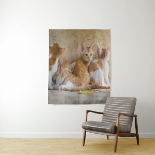 Tenture Chaton tigré orange et blanc/Ajoutez la photo de v