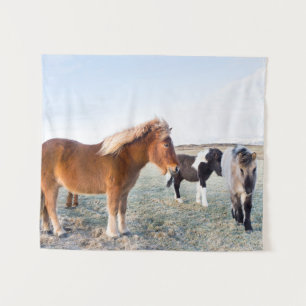 Tenture Cheval islandais en hiver en Islande