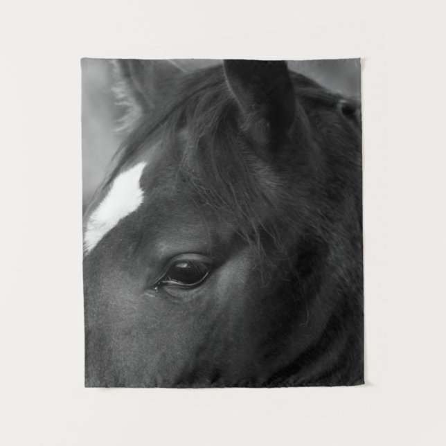 Tenture Cheval wtcnm (Devant)