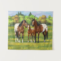 Chevaux Appaloosa De Baie Brown En Pâturage D'Été