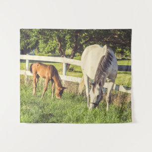 Tenture Chevaux Bébé Animaux de ferme Moyen