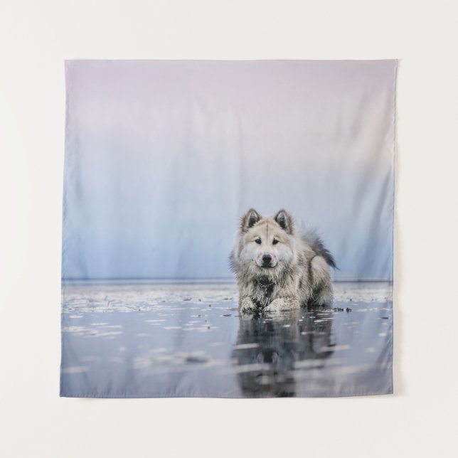 TENTURE CHIEN SUR LE CORPS CALME DE L'EAU (Devant)
