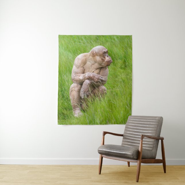 Tenture Chimpanzé sans cheveux (En situation)