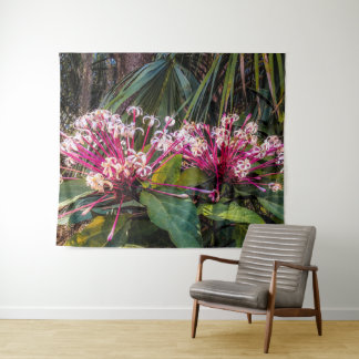 Tenture Clerodendrum Starburst Flowers