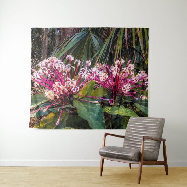 Tenture Clerodendrum Starburst Flowers (En situation (horizontale))
