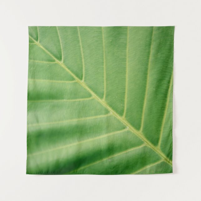 Tenture Close up photo of green leaf (Devant)