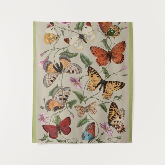 Tenture Collection de la papillon Moth Nature Dessin (Devant)