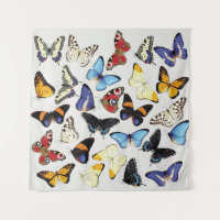 Collection réaliste de papillons vintages.