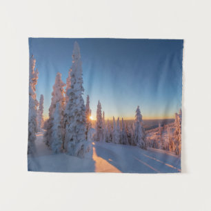 Tenture Corégone, Montana