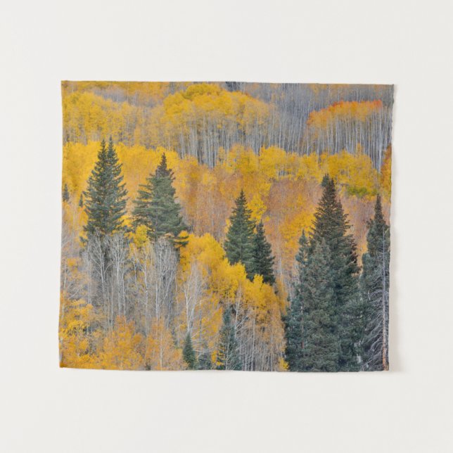 Tenture Couleurs d'automne sur Aspen Groves (Devant (Horizontal))