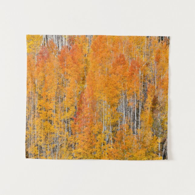 Tenture Couleurs d'automne sur les bosquets de trembles (Devant (Horizontal))
