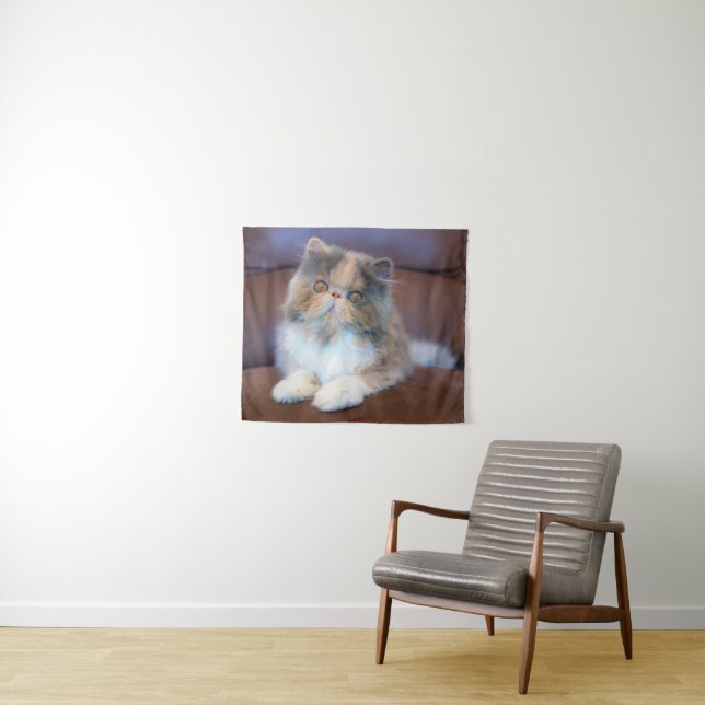 Tenture Cutest Baby Animals | Calico Persian Kitten (En situation (horizontale))