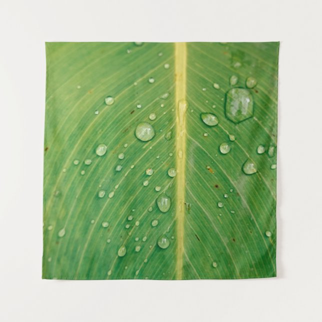 Tenture Déposer sur le plante à feuilles vertes (Devant)